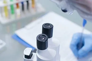 asesoría artículos científicos